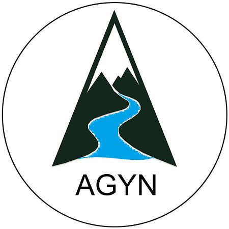 Agyn Guest House Каракол Екстериор снимка